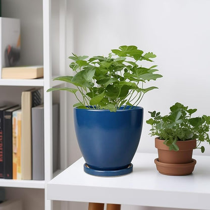 6.8 Inch Plant Pot