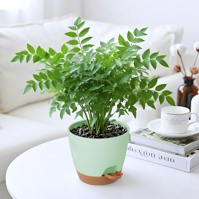 5-Pack Plant Pots with Drainage