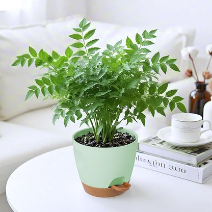 5-Pack Plant Pots with Drainage