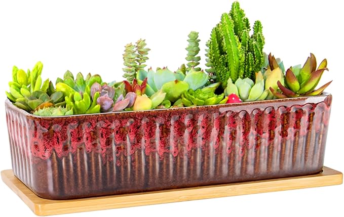 Succulent Pots - 12 Inch Large Succulent Planters