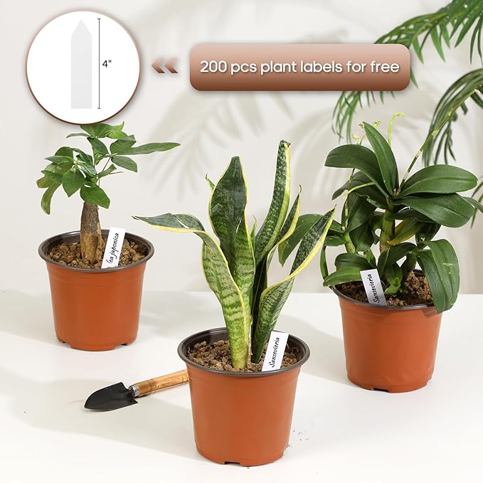 200 Pack 6 Inch Plastic Nursery Pots