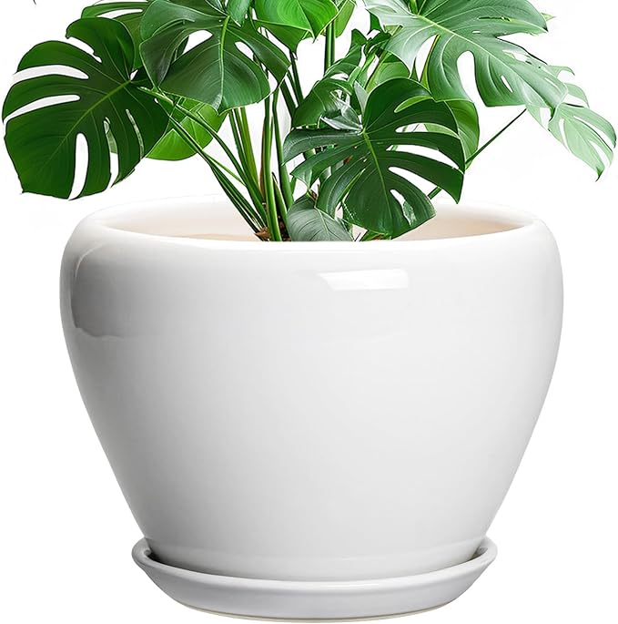 Ceramic Pot for Plants