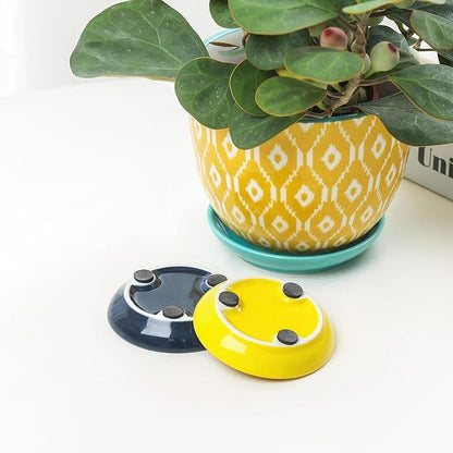 Selamica Ceramic Succulent Pots