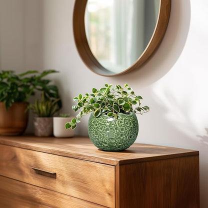 Ceramic Plant Pots