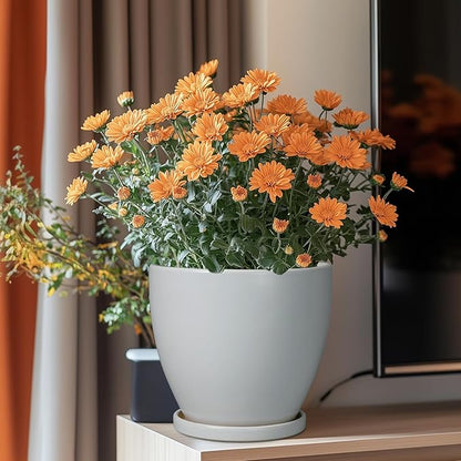 Ceramic Pots for Plants