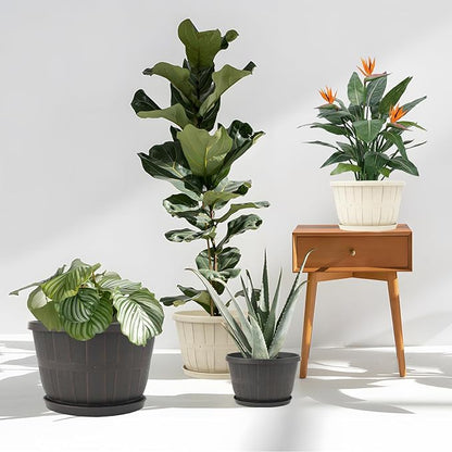 Quarut 12 Inch Large Planter Pot