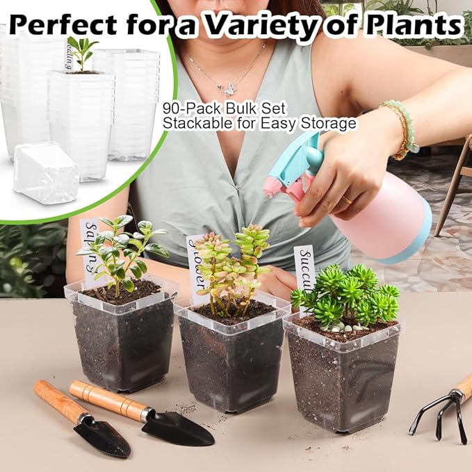 3.3 Inch Clear Nursery Pots