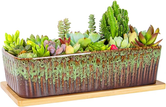 Succulent Pots - 12 Inch Large Succulent Planters