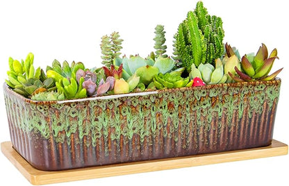 Succulent Pots - 12 Inch Large Succulent Planters