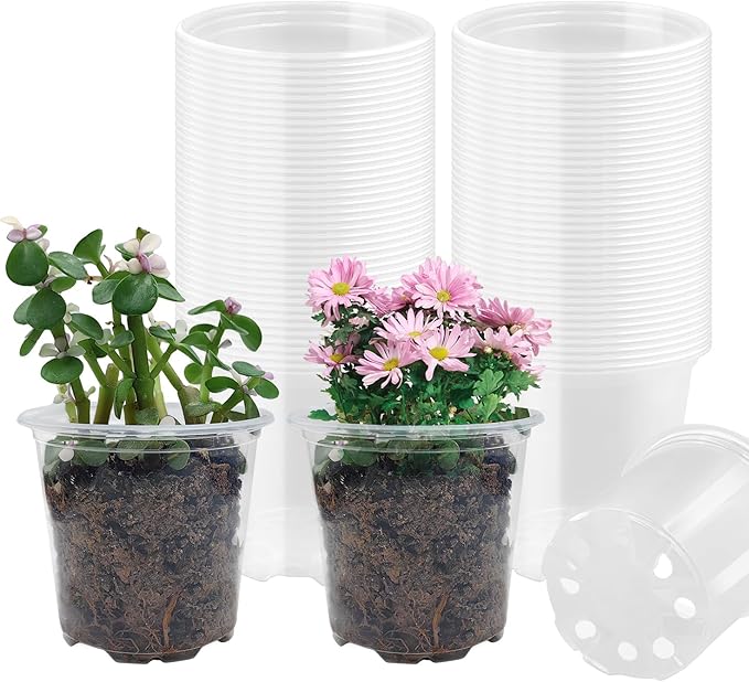 4" Clear Seeding Pots 50-Pack Round