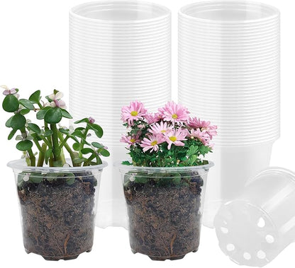 4" Clear Seeding Pots 50-Pack Round