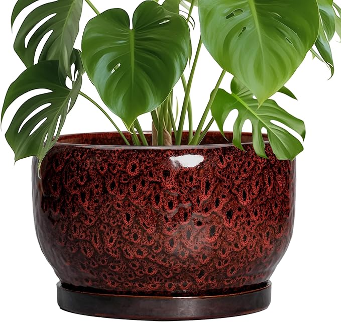 SQOWL Ceramic Flower Pots