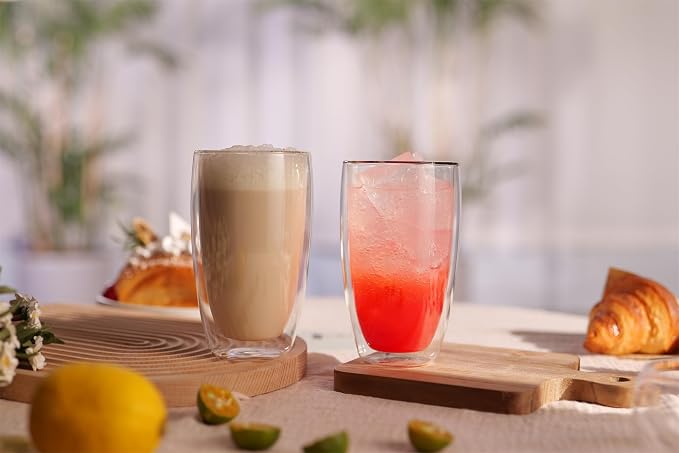 CNGLASS Double Wall Thermo Glass Coffee Cup 13.5 oz