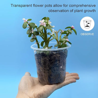 4" Clear Seeding Pots 50-Pack Round