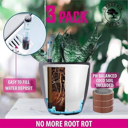 GARDENIX DECOR 7'' Self Watering planters