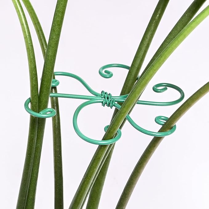 5PCS Monstera Plant Support Hook