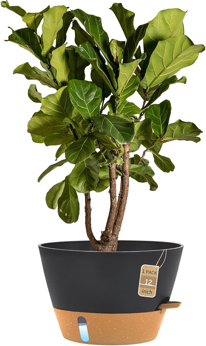 12-Inch Self Watering Planters