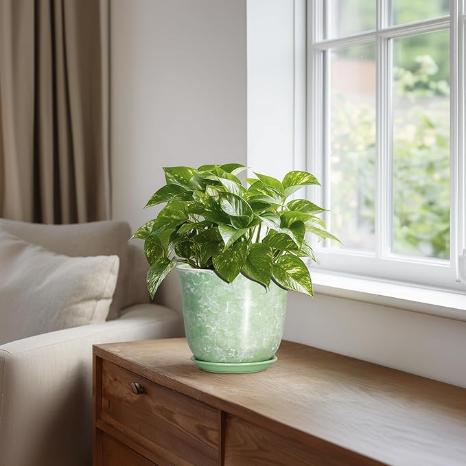 Ceramic Plant Pots