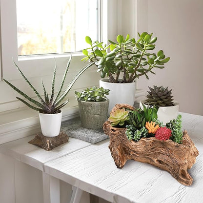 Tebery Artificial Driftwood Stump Log Planter Vintage Cactus Container