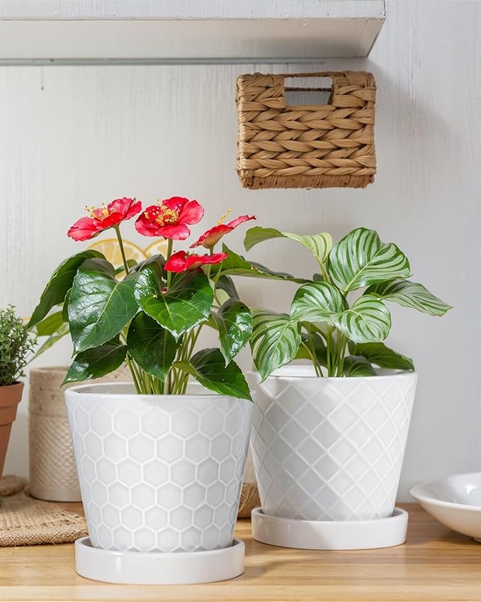 EFISPSS Flower Planter –5 inch Ceramic Plant Pots
