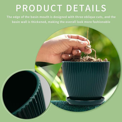 Plant Pots Indoor with Saucers & Drainage