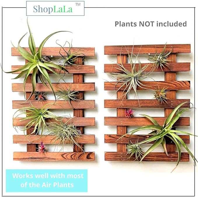 ShopLaLa Wall Planter