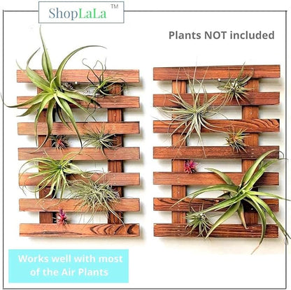 ShopLaLa Wall Planter