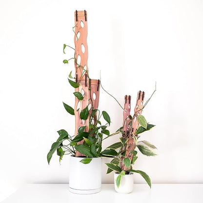 Treleaf Zella Grande Extension Kit