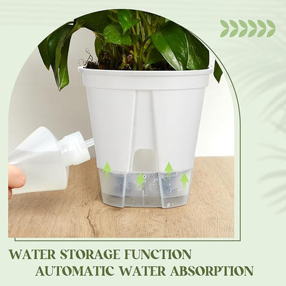 Self Watering Pots for Indoor Plants
