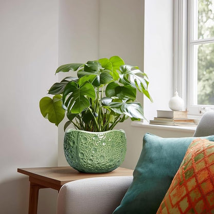 8 Inch Plant Pot