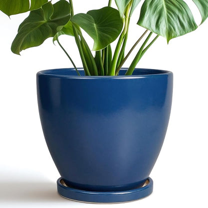 Ceramic Plant Pot