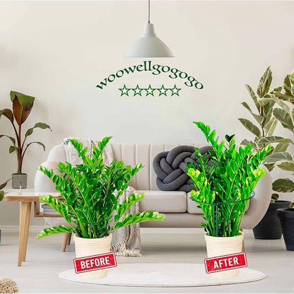 8 Pack Snake Plant Support Stakes