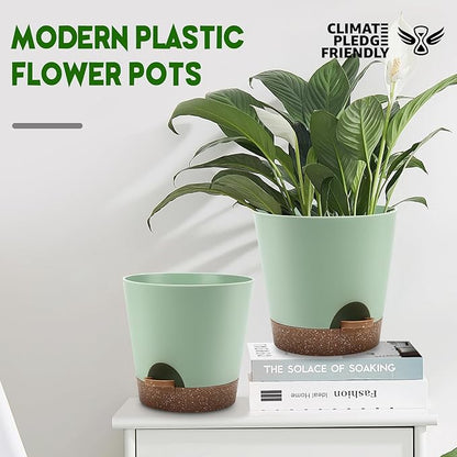 Indoor Self Watering Planters