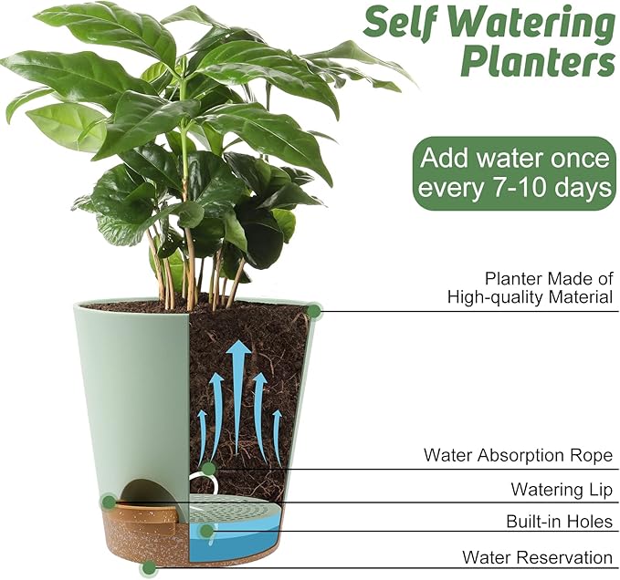 Indoor Self Watering Planters