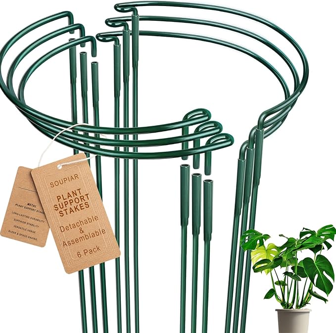6 Pack Detachable & Assemblable Metal Plant Support Stakes