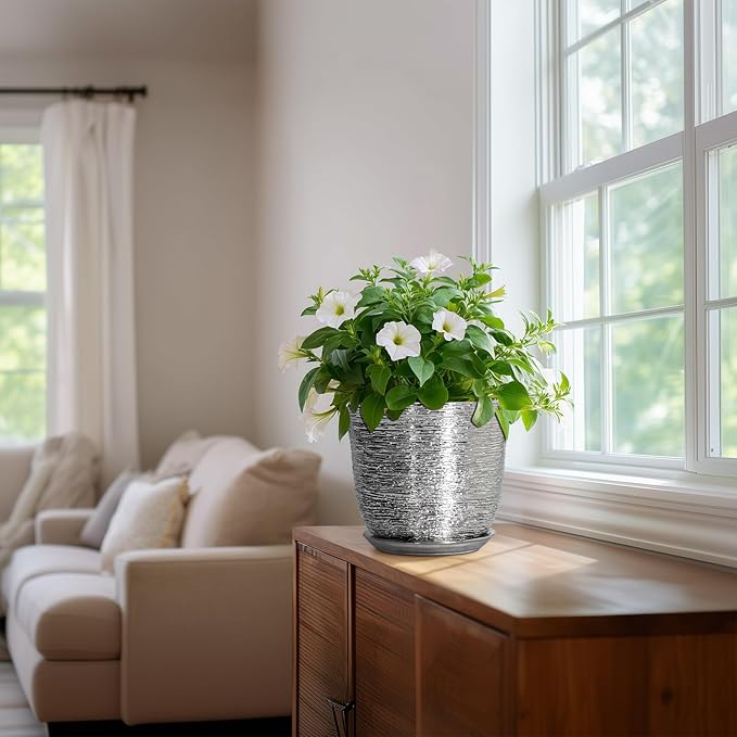 Ceramic Pots for Plants