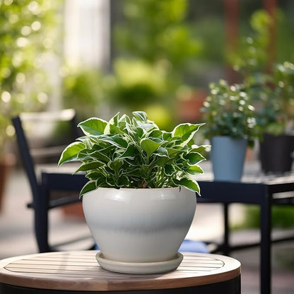 Planter Pot 6 Inch