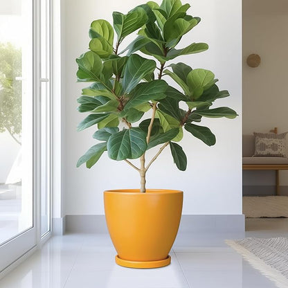 10 Inch Plant Pot