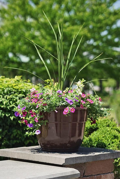 Garden Elements Indoor/Outdoor Glazed Brushed Happy Plastic Planter, Dark Brown