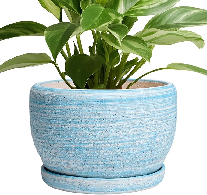 SQOWL Ceramic Planter