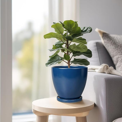 6.8 Inch Plant Pot