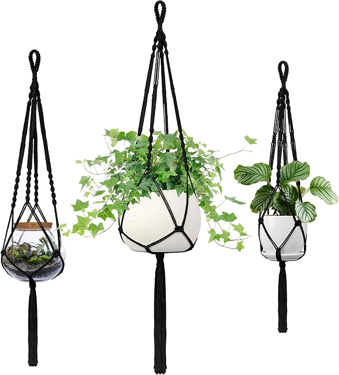 Macrame Plant Hanger
