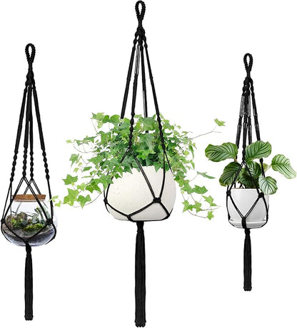 Macrame Plant Hanger