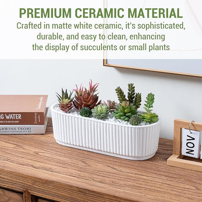MyGift 12 Inch Ceramic Succulent Planter, Oval Matte White Planter Pot