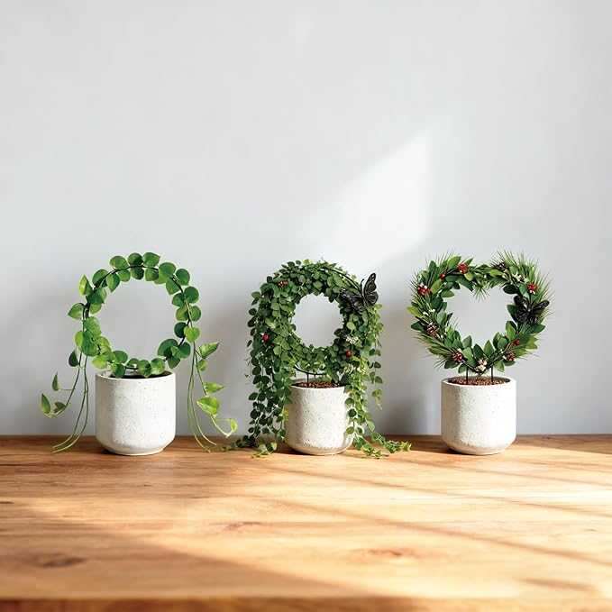 Indoor Climbing Plant Trellis