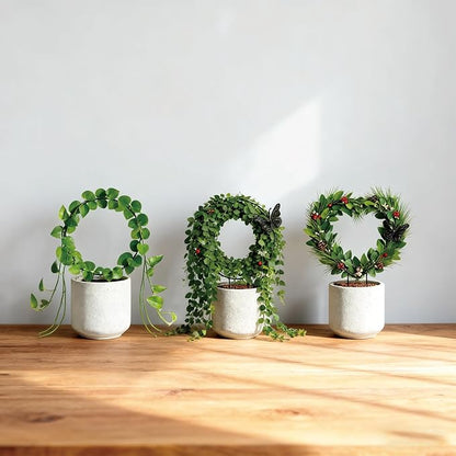 Indoor Climbing Plant Trellis
