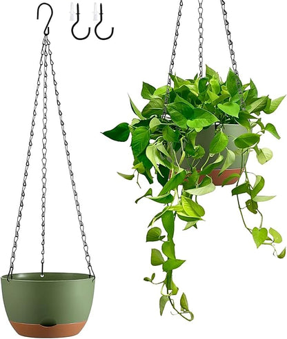 Hanging Planters for Indoor Plants