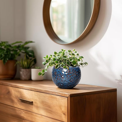 Ceramic Pots for Plants