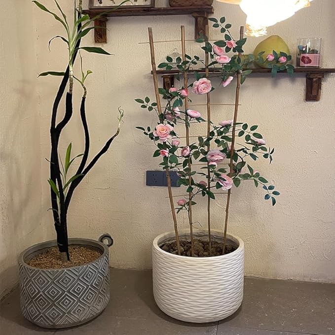 Natural Bamboo Trellis, Fan-Shaped Plant Support Trellis