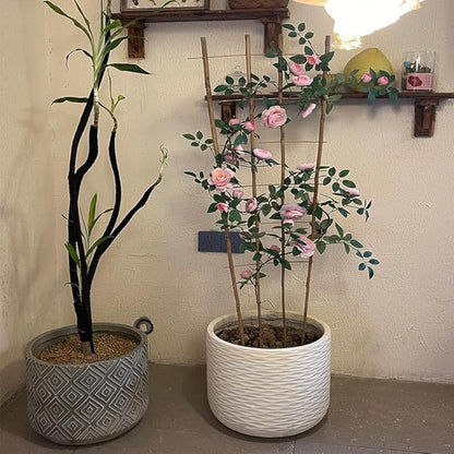 Natural Bamboo Trellis, Fan-Shaped Plant Support Trellis